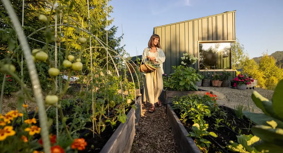 Sustainable Gardening