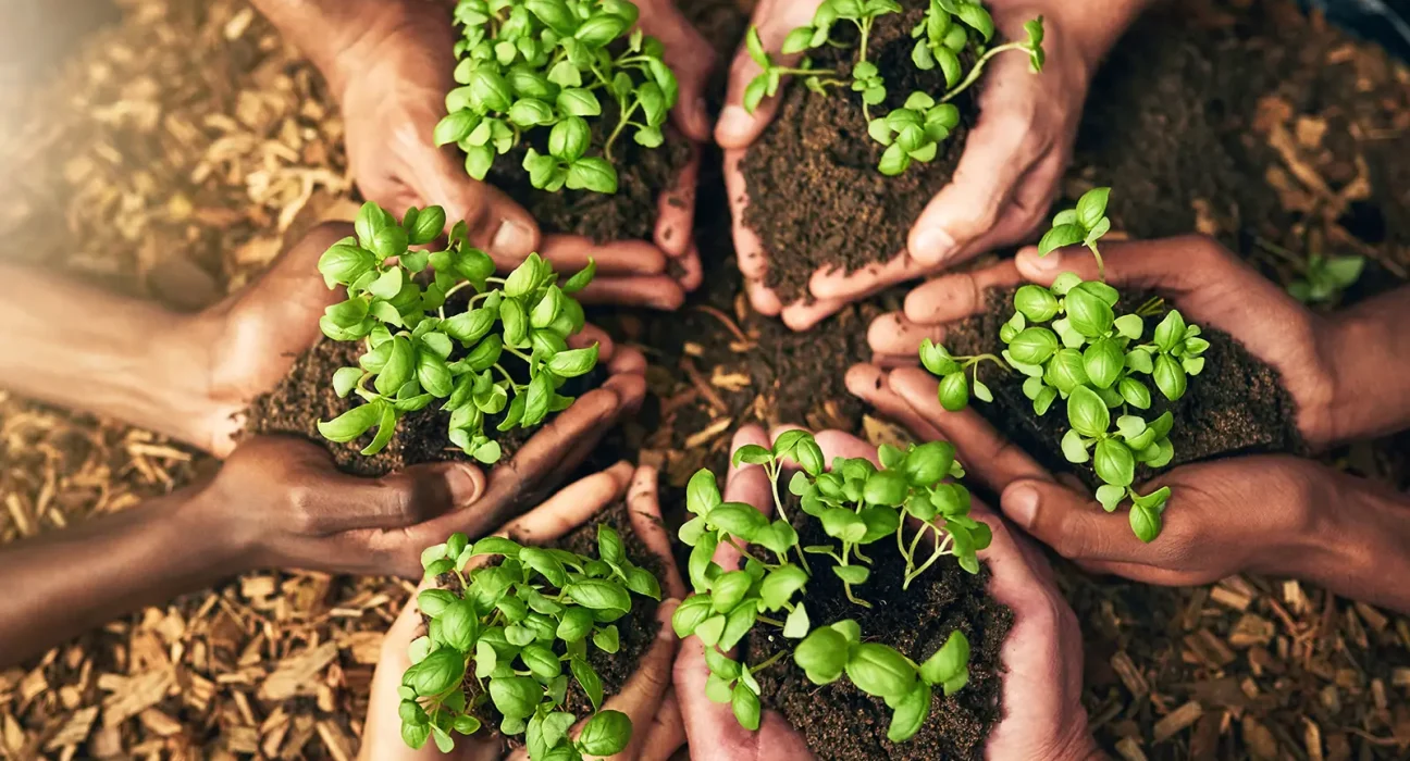 Sustainable Lifestyle Choices